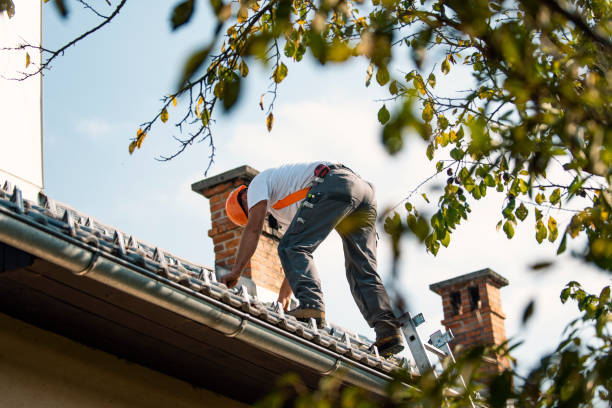 Best Roof Leak Repair  in Edmore, MI