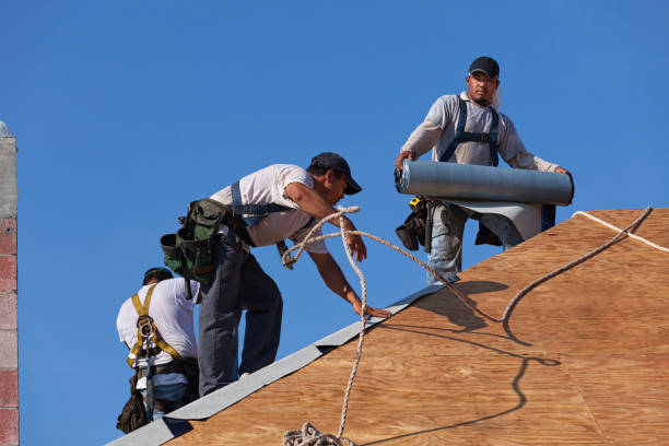 Best Storm Damage Roof Repair  in Edmore, MI
