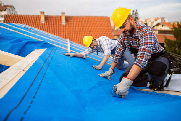 Best Roof Waterproofing Services  in Edmore, MI