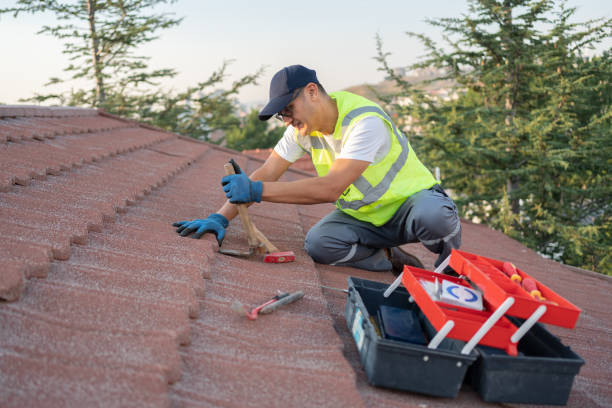 Best Flat Roof Repair Services  in Edmore, MI