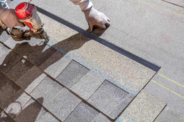 Best Shingle Roofing Installation  in Edmore, MI