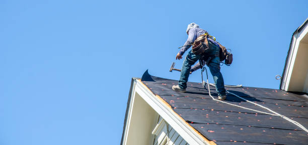 Best Roof Maintenance Services  in Edmore, MI