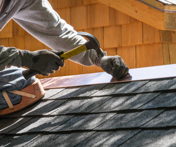 Best Metal Roofing Contractor  in Edmore, MI
